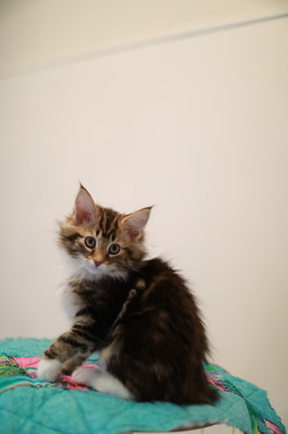 0W0A0958.JPG